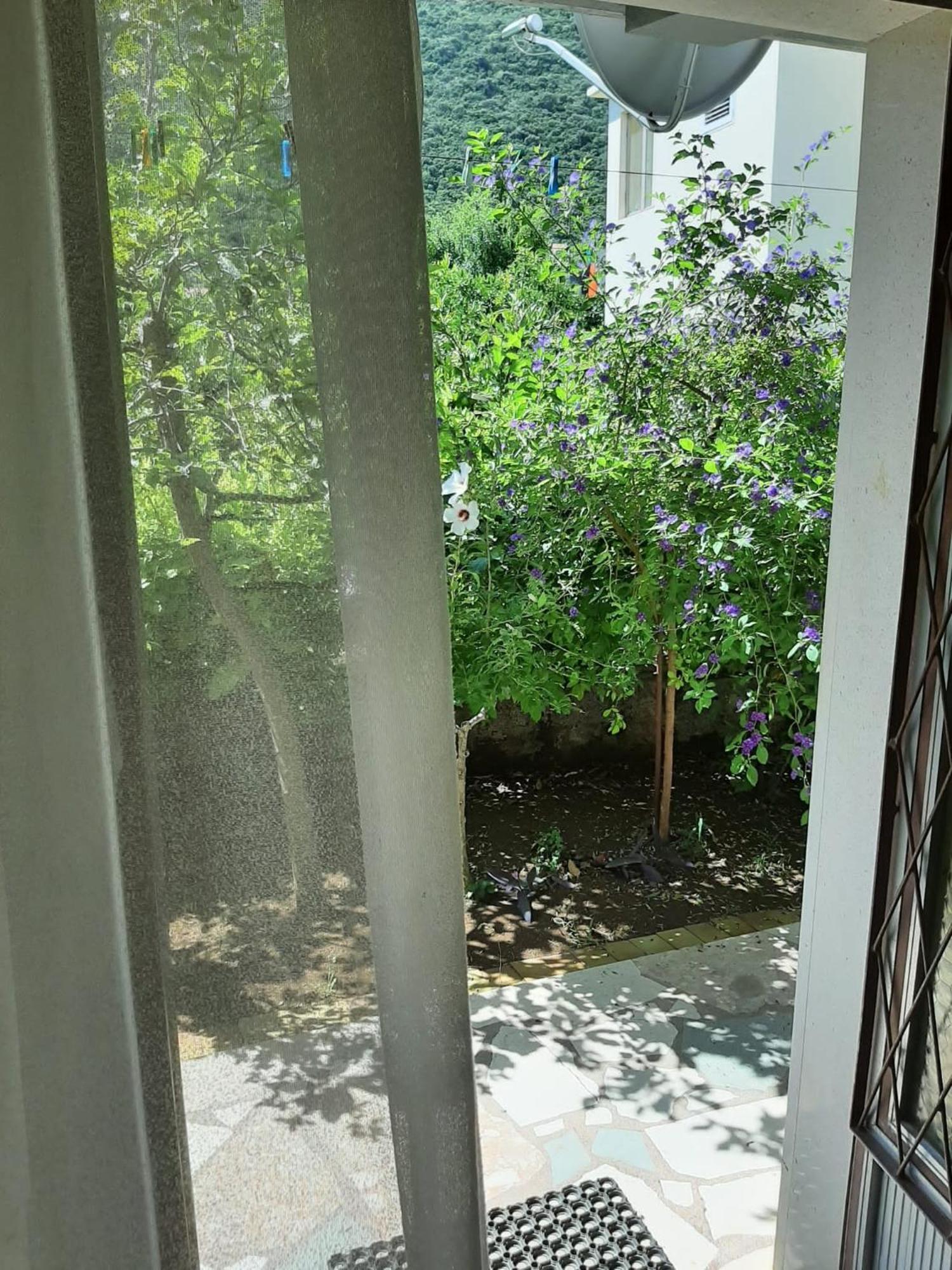 Apartments And Rooms With Parking Space Trpanj, Peljesac - 250 Room photo